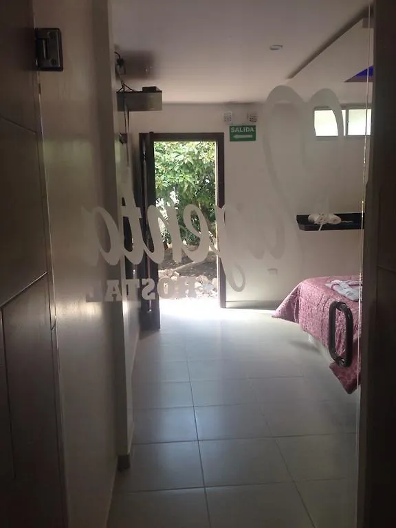 Penzion Hostal Magenta Vip Quito